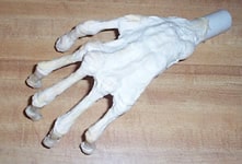 Merlin’s Easy Latex Corpse Hands